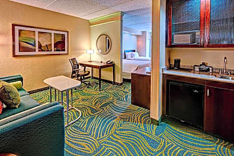 Suite, 1 King Bed with Sofa bed (1 King Bed and 1 Double Sofa Bed)