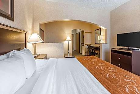 1 King Bed, Suite, Nonsmoking