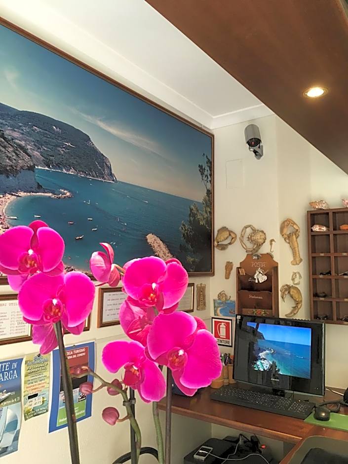 Hotel "Il Parco" B&B Sirolo