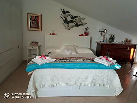 Junior Suite with Terrace