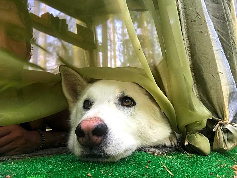 Nature Retreat "Upes Dižvietas"