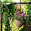 Albergo 'La Vigna'