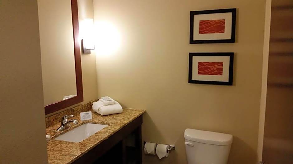 Comfort Inn & Suites West - Medical Center