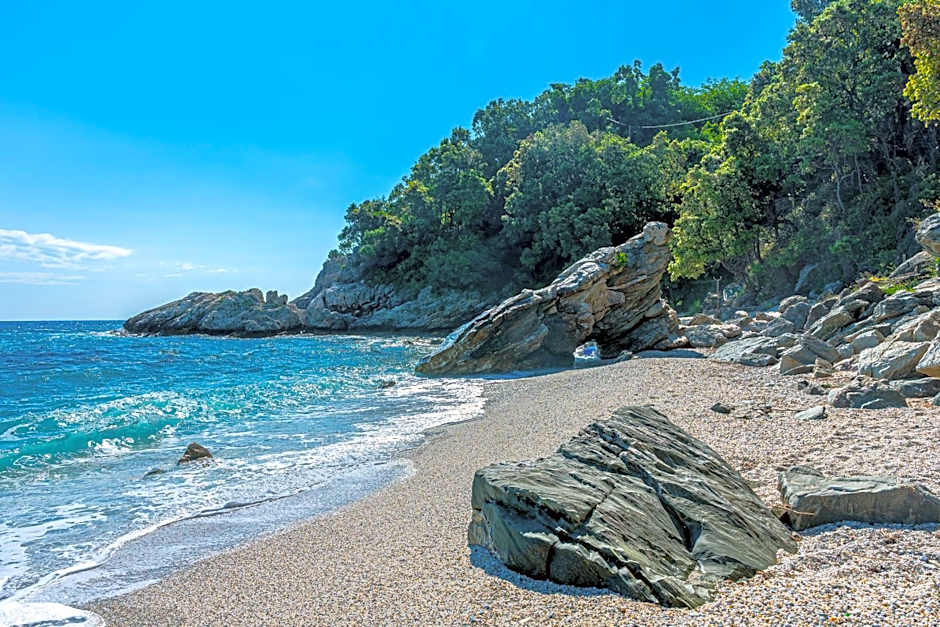 SunRiseStudiosPapanero