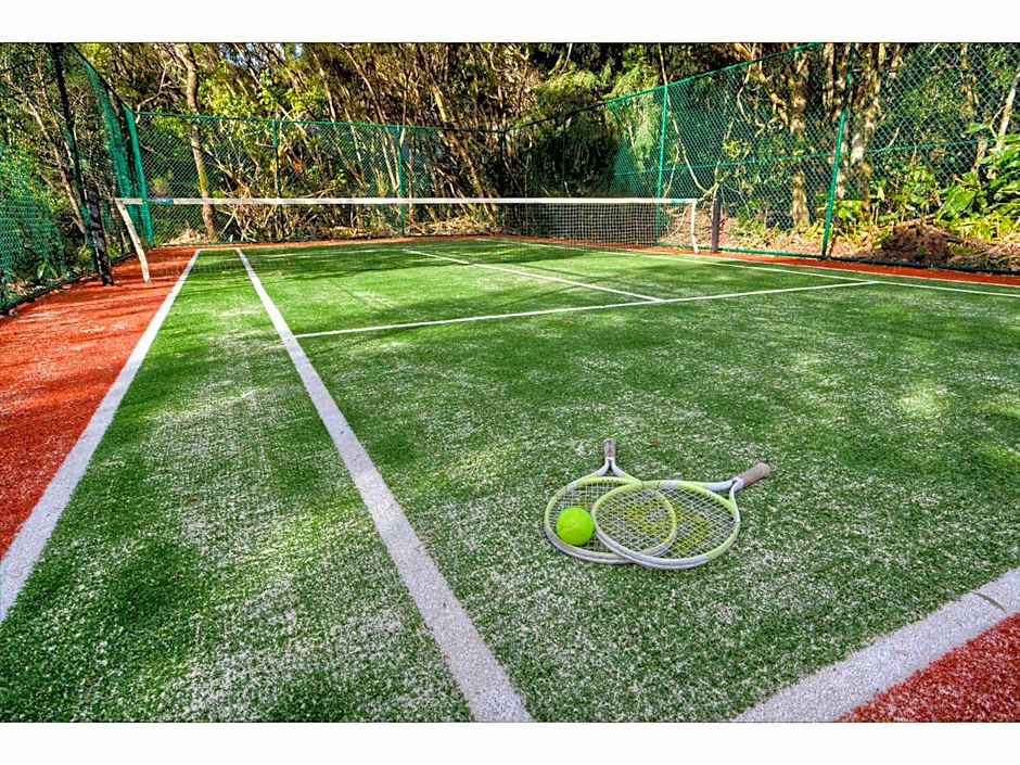 The Mouses House Rainforest Retreat