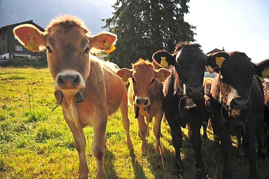 Hotel Lenzerhorn - Alpine Stay, Spa & Savour