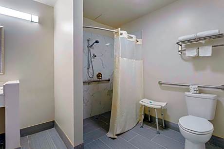 Efficiency King Room - Accessible/Non Smoking