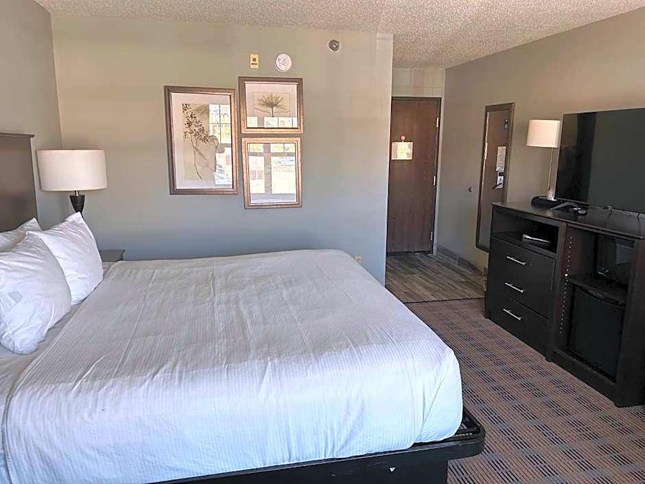 Photo 1 of 4 of 1 Queen Bed, Pet-Friendly
