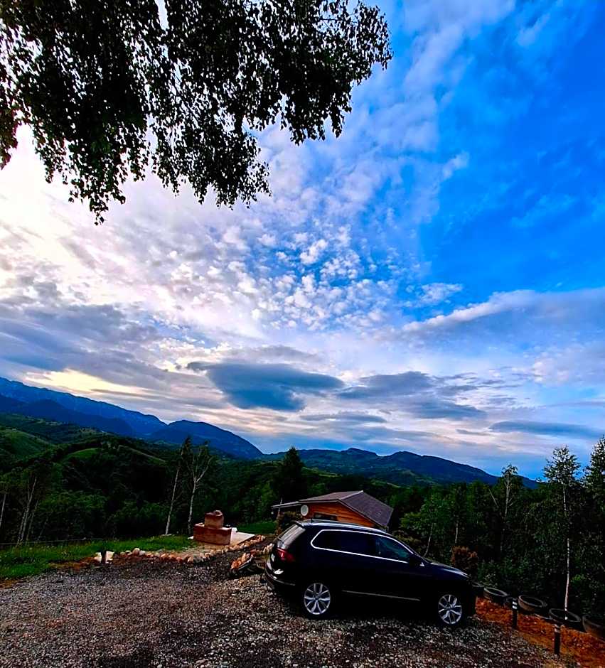 Cabana doi mesteceni