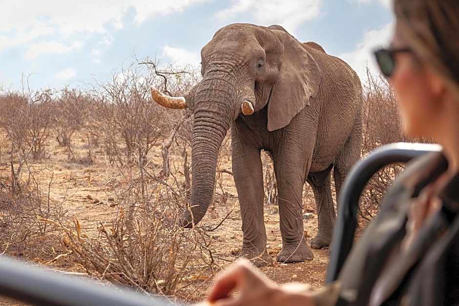 Tuningi Safari Lodge