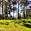 Cabanas das Araucárias