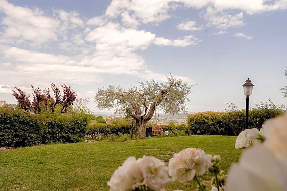 Ai Quattro Ulivi B&B