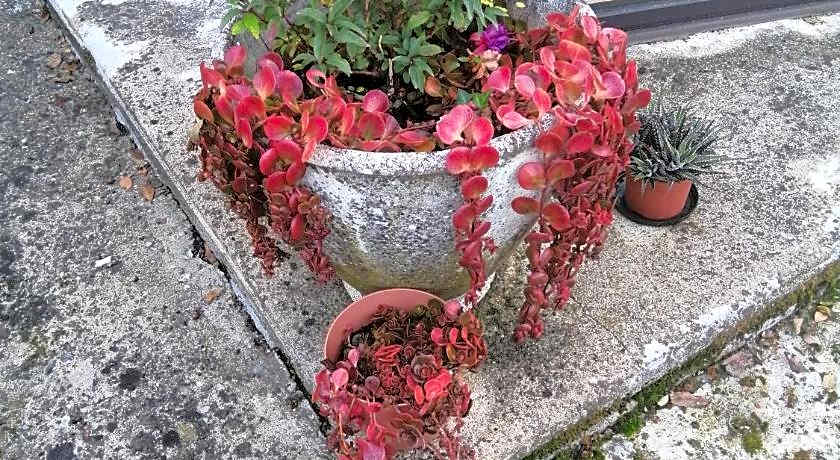 Le Grand Chemin de La Vie