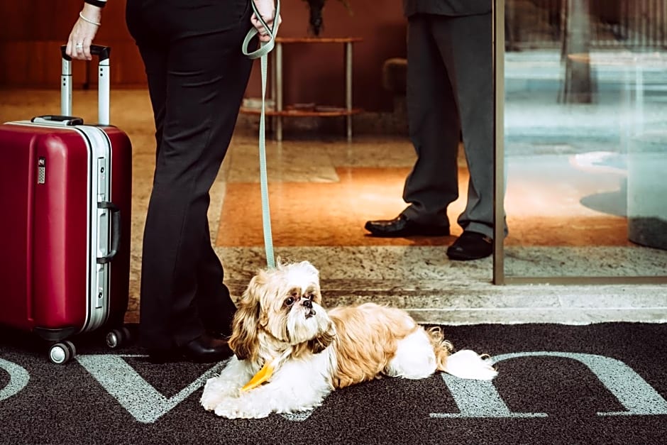 Own Ipanema Visconti