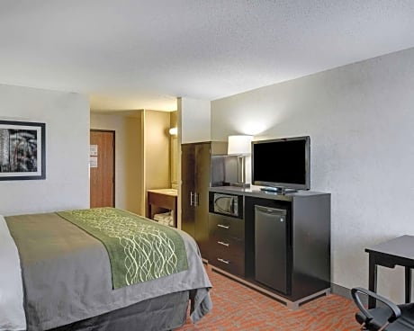 1 King Bed, Nonsmoking, Accessible