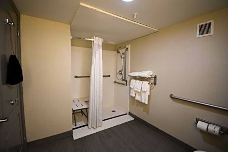 King Room with Roll In Shower - Non-Smoking