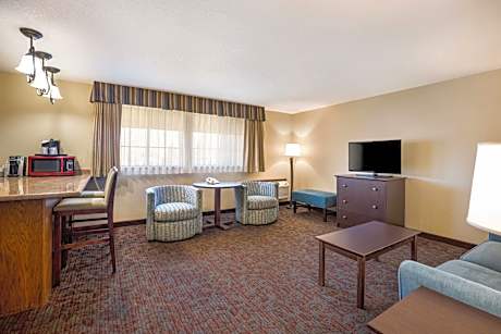 Suite-1 King Bed Non-Smoking Wet Bar Microwave Fridge Wi-Fi Full Breakfast