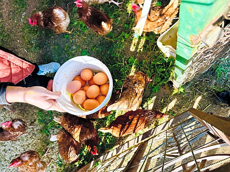 Celebi Garden Hotel - Cittaslow Retreat