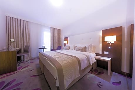 Deluxe Double or Twin Room 4*