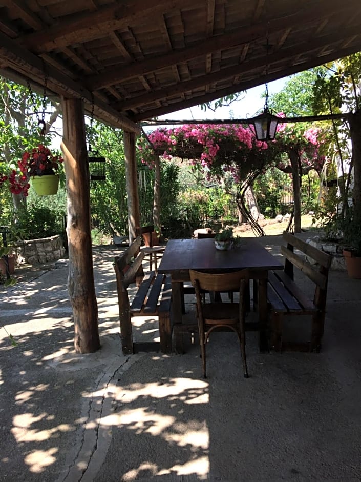 B&B La Vigna Di Mario