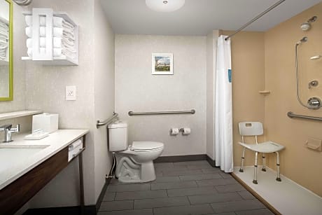 1 King Mobility Access Roll In Shower Nosmok