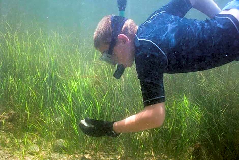 Riverfront Treetop Bungalow