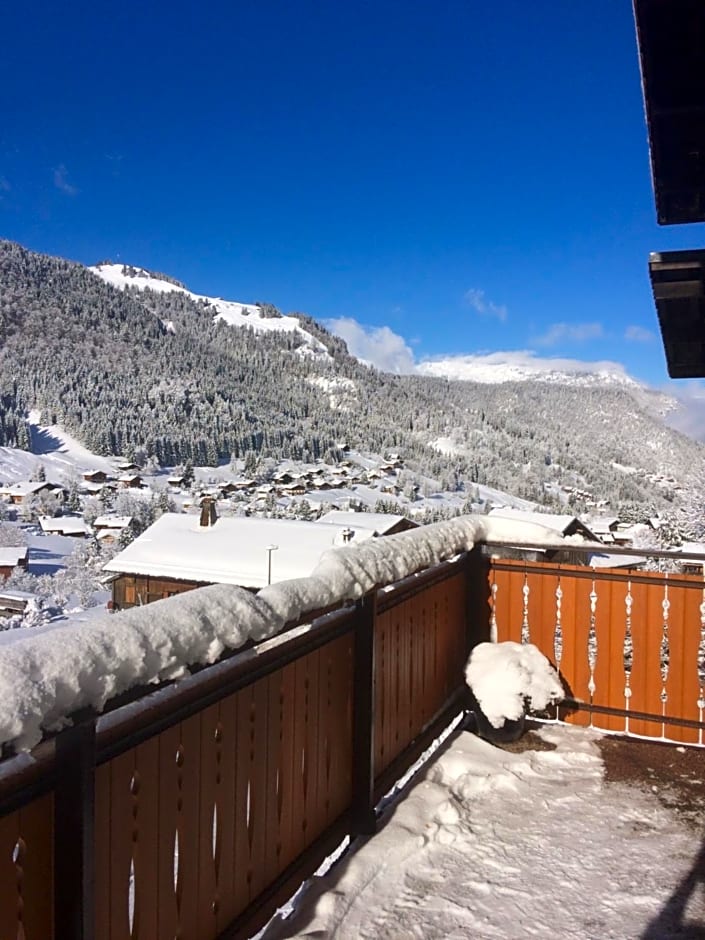 Chalet-Hôtel du Borderan