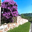 B&B Wisteria