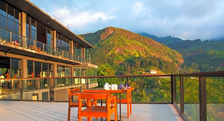 Oak Ray Hotel - Tea Bush Ramboda