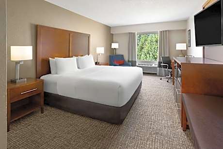 King Room - Non-Smoking