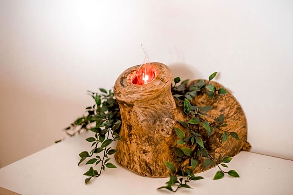 Lotus Oasis I Nature Experience