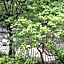 Annex Turtle Hotori-An                                                                    