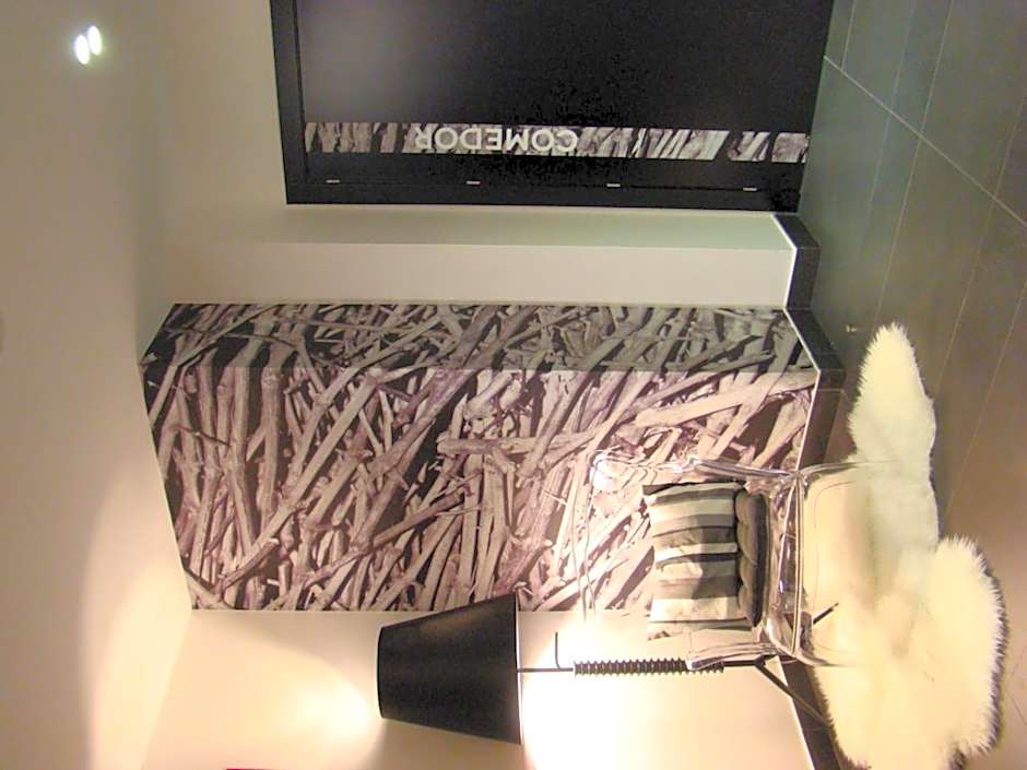 Hotel Forum Evolución