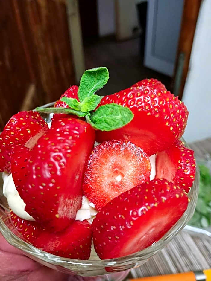 Family Hotel Varosha 2003