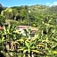 Papaya Guesthouse