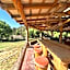 Relajante Cabana Con Vistas Impresionantes