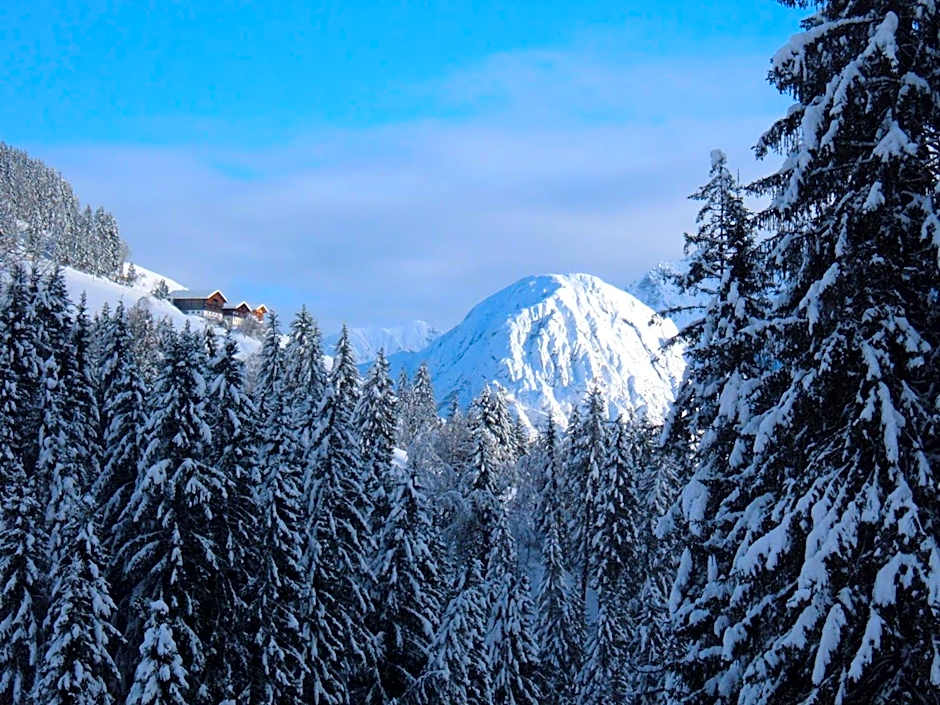 Bed & Breakfast Dolomiti Bey Haus Pinter