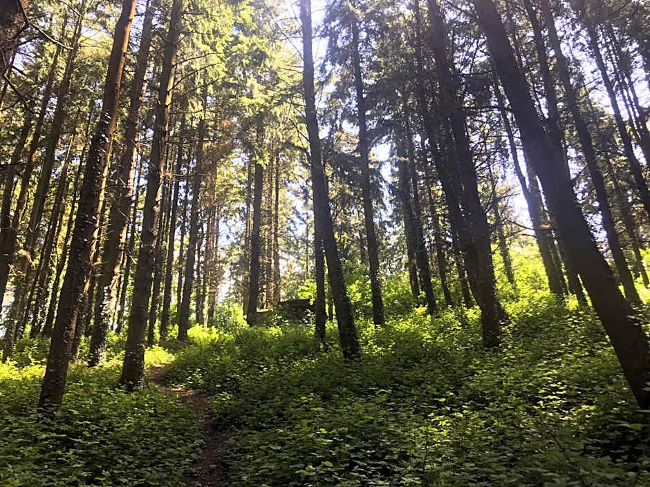 Shepherds Huts Ham Hill, 2 double beds, Bathroom, Lounge, Diner, Kitchen, LOVE dogs & Cats Looking out to lake and by Ham Hill Country Park plus parking for large vehicles available also great deals on workers long term This is the place to relax and BBQ