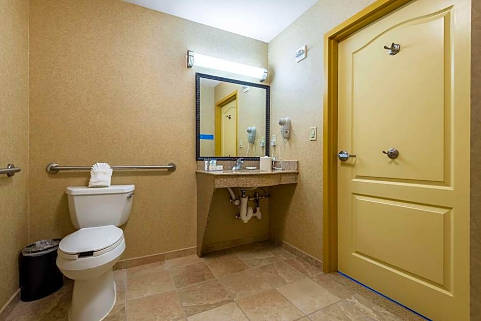 Hampton Inn By Hilton & Suites Orlando-South Lake Buena Vista