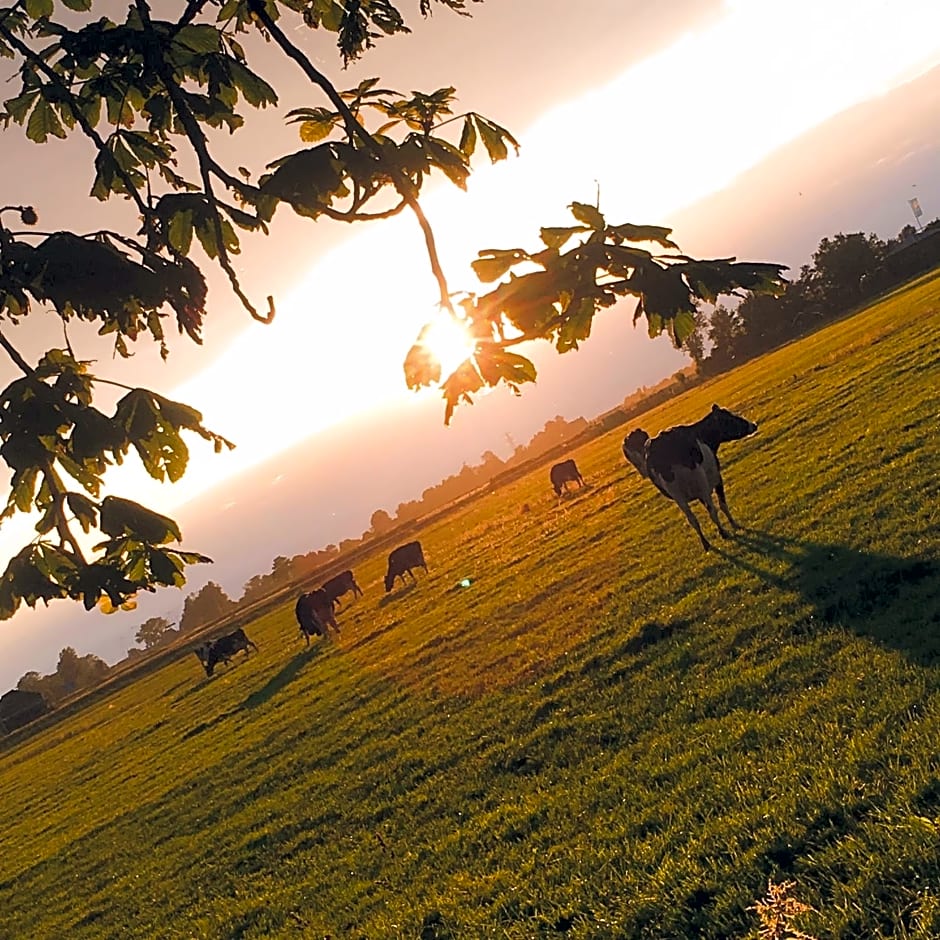 B&B De Pauw - Country Home Cooking