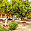 Orange Garden Hotel Akyaka 