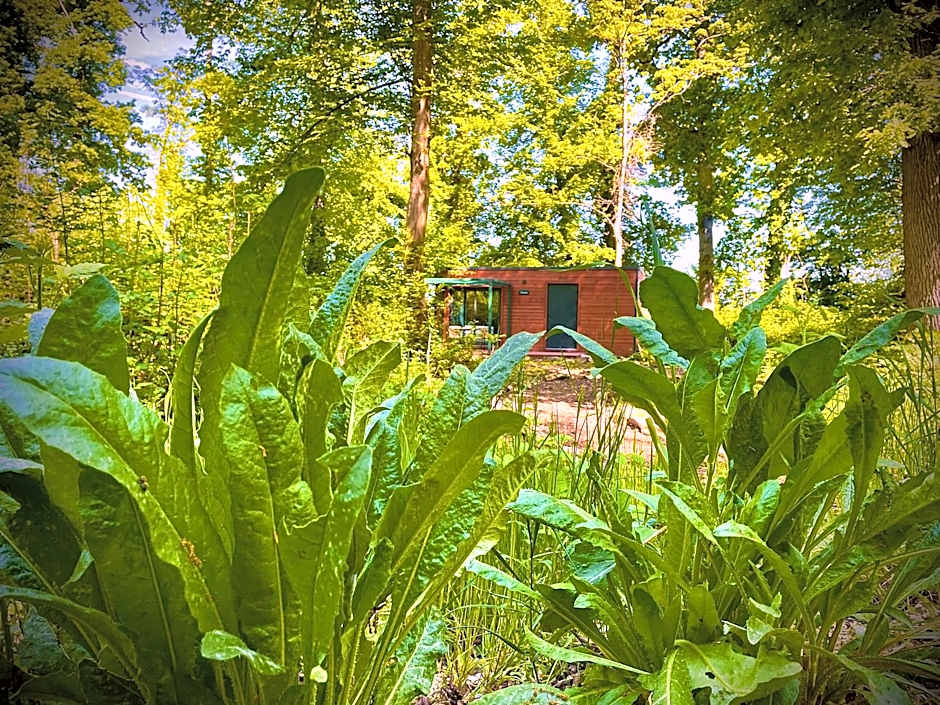 Hotel Les Lodges de Vaugrigneuse