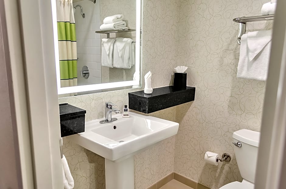 Hotel Indigo New Orleans French Quarter By IHG