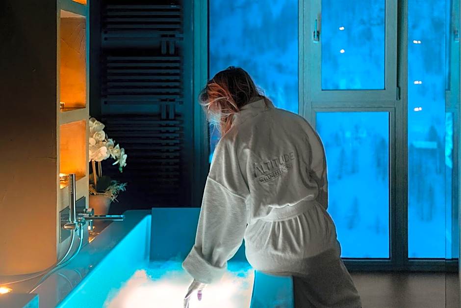 Bergman Mountain Hotel