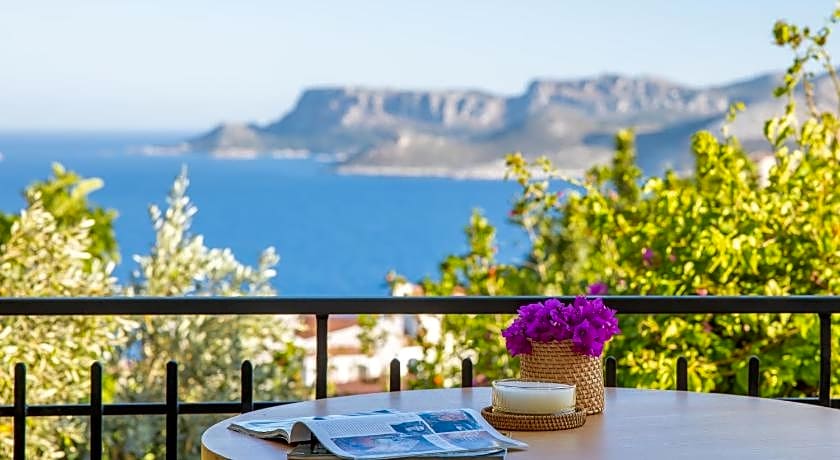 Hill House Adult Only