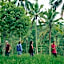 Tastura Homestay