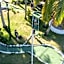 Nakelo Treasure Island Resort & Spa