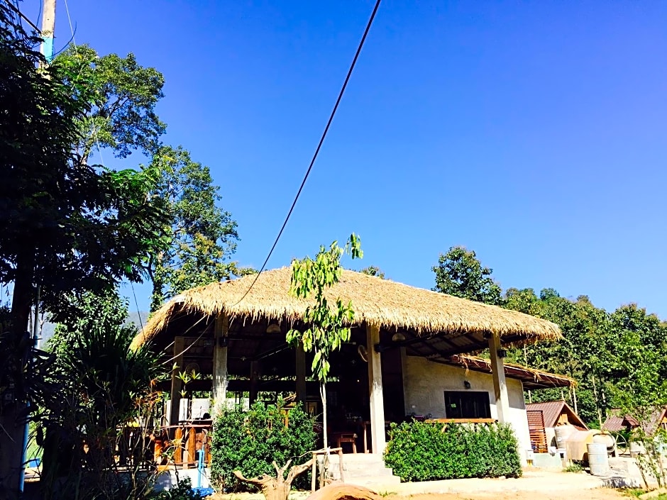 Chiang Dao Hut