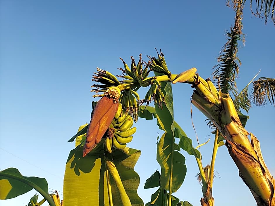 Hills Villa Miyakojima