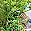 Bubble Dome Village